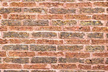 Old red brick wall backgrounds