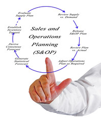 Sales and operation planning