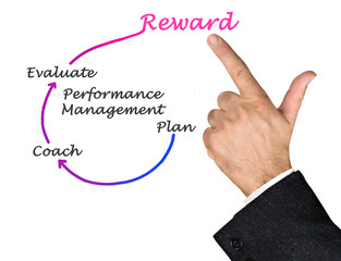 Diagram of Performance Management