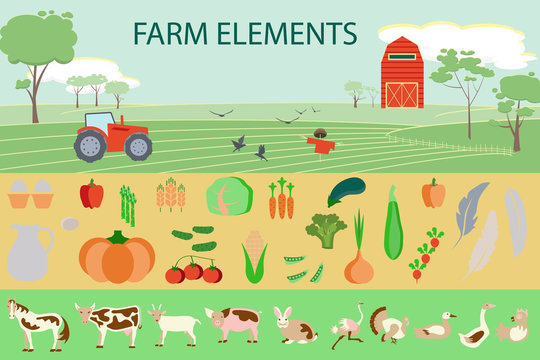 Farming infographic elements with field, farm, tractor, animals and harvest. Modern flat design. eps10 vector illustration
