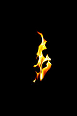 Fire flames on a black background