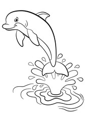 Coloring pages. Marine wild animals. Little cute dolphin.