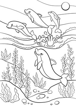 Coloring pages. Marine wild animals. Cute dolphins jumps out of the water and smiles.