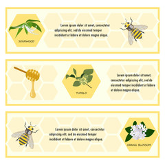 Honey set for banner