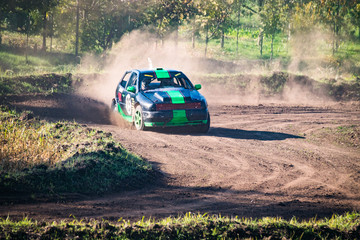 Car during a "stock car cross" free demostration.