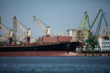 Fototapeta premium Harbor cranes working