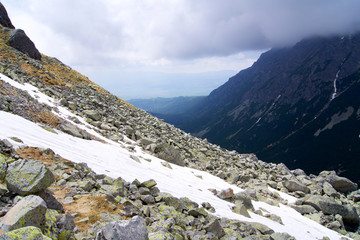 High Tatras foggy