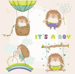Baby Hedgehog Set - for Baby Shower or Baby Arrival Cards - in vector