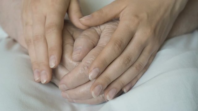 A young female hands comforting an elderly pair of hands of old women