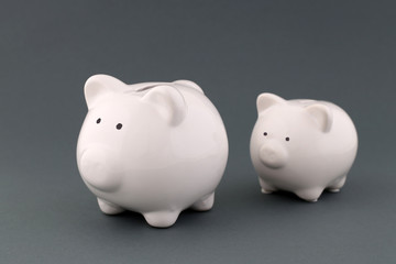 Zwei Sparschweine, unterschiedlicher Größe, stehen wie Mutter und Kind auf grauem Hintergrund