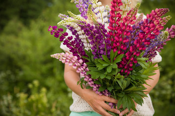 Fototapeta na wymiar Back view on young girl holding a bunch of beautiful lupine flowers. Purple and pink lupin bouquet. Womanl with bouquet of wild lupin flowers on sunny summer field.