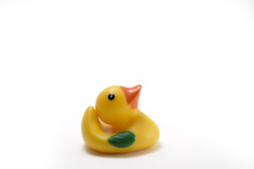 yellow rubber duck isolated on white
