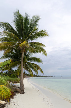 View of tropical beach in Cayo Guillermo - Ciego de Avila Province, Cuba.