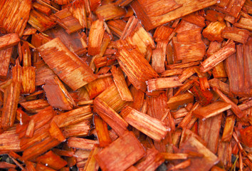 Orange wood shavings
