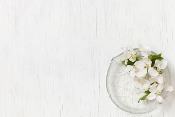 Top view on beautiful apple tree flowers in a glass plate on a white wooden background. Spring apple tree blossom. White flowers. Flat lay. Spring concept.