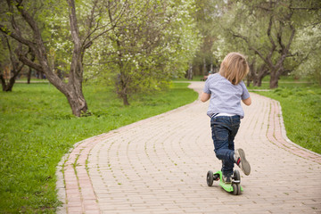 Child on a Scooter. kid boy on scooter in the park on a sunny day. Cute happy child riding scooter...