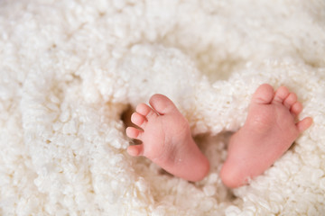 Bare feet of a cute newborn baby in warm white blanket. Childhood. Small bare feet of a little baby girl or boy. Sleeping newborn child.