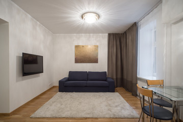 Interior of living room.