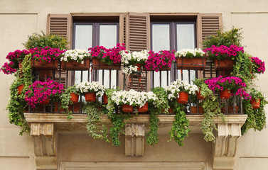 Fototapeta na wymiar Beautiful Balcony Decorated with Flower Pots at Piazza Navona in Rome