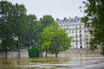 Fototapeta na wymiar Flood in Paris