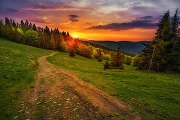 Deurstickers Pad in Poolse bergen © Patrycja