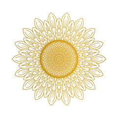 Sunflower illustration vector