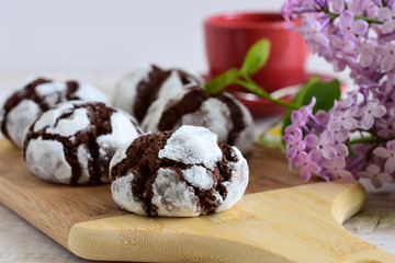 chocolate cakes in powdered sugar