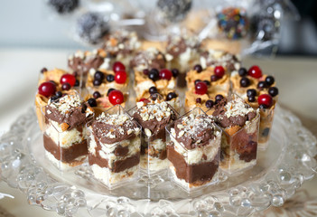 Sweet Dessert. Chocolate, nuts and berry pudding in small plasti