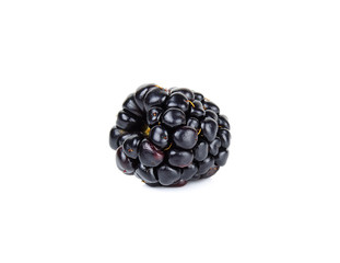 Single fresh blackberry isolated on white