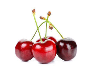 Cherry isolated on the white background