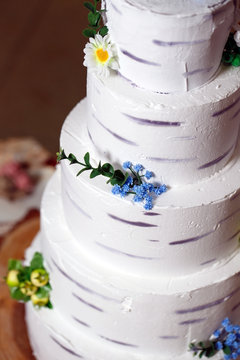 Rustic Cake with birch texture.