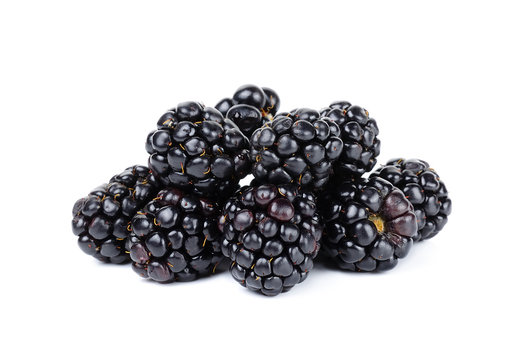 blackberry isolated on white bakcground
