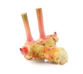 Fresh galangal isolated on white background.