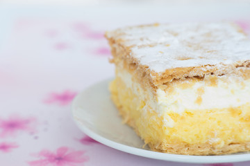 Close up of vanilla cream cake slice
