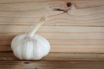 Garlic on wood background