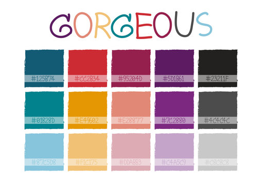 Gorgeous Color Tone with Code Vector Illustration