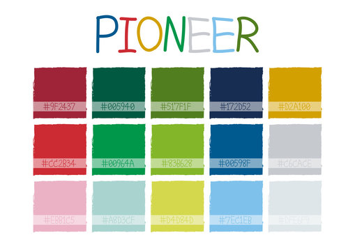 Pioneer Color Tone with Code Vector Illustration