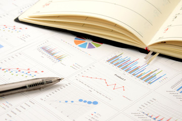 ビジネスコンセプト―ビジネスチャートとシステム手帳