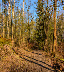 Obraz premium Early morning