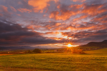 Fototapeta na wymiar Sunrise at a young green wheat field