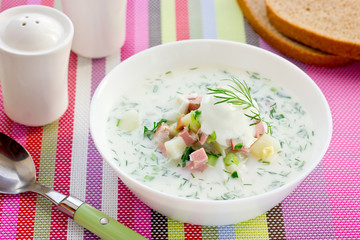 Okroshka - russian kvass cold soup