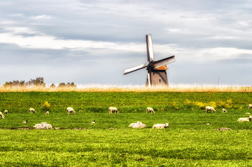 A traditional Dutch Landscape