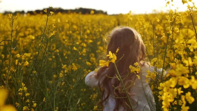girl running cross the field at sunset.Slow motion
