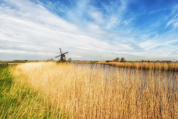 Typical dutch landscape