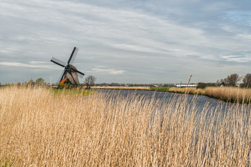 Typical dutch landscape