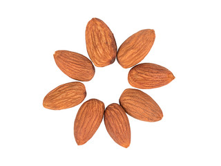 Flower of almond
