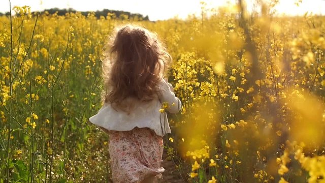girl running cross the field at sunset.Slow motion