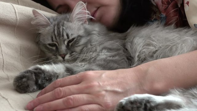 woman sleeping beside her cat. 4K Stock Footage Clip
