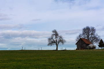 Landschaft mit Baum und Schuppen