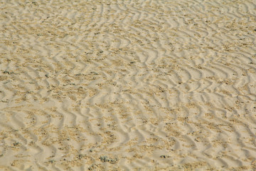 The beach and sand.